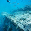 難破船が絵になる「Vaavu Shipwreck」でシュノーケリング♪