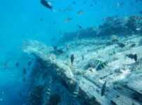 難破船が絵になる「Vaavu Shipwreck」でシュノーケリング♪