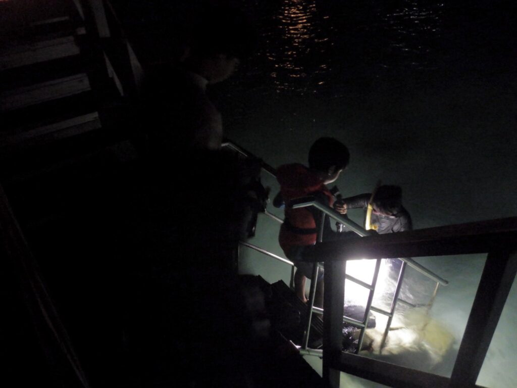 ブルーライトを照らしながらシュノーケリングして、夜の水中生物を見学