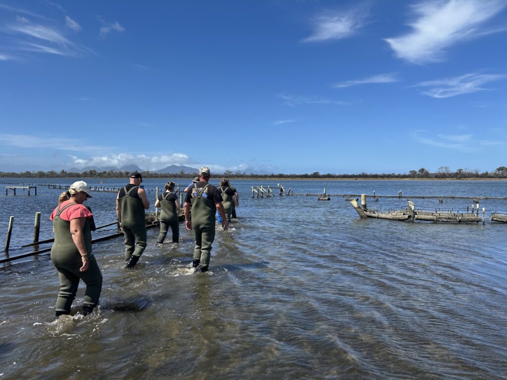 タスマニア島1泊2日レンタカーの旅:「フレシネ海洋養殖場」発着「Oyster Bay Tours」