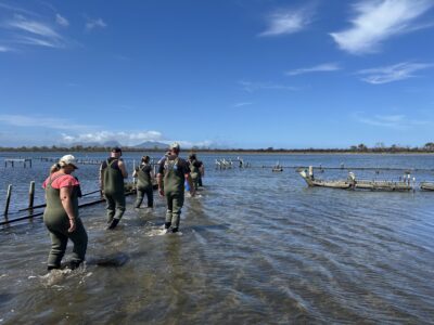 タスマニア島1泊2日レンタカーの旅：「フレシネ海洋養殖場」発着「Oyster Bay Tours」