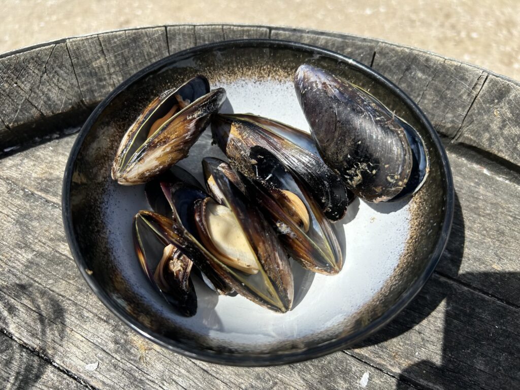 タスマニア島1泊2日レンタカーの旅:「フレシネ海洋養殖場」発着「Oyster Bay Tours」