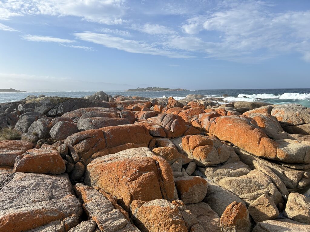 タスマニア島1泊2日レンタカーの旅:「ビチェノ(Bicheno)」の「コッド・ロック(Cod Rock)」