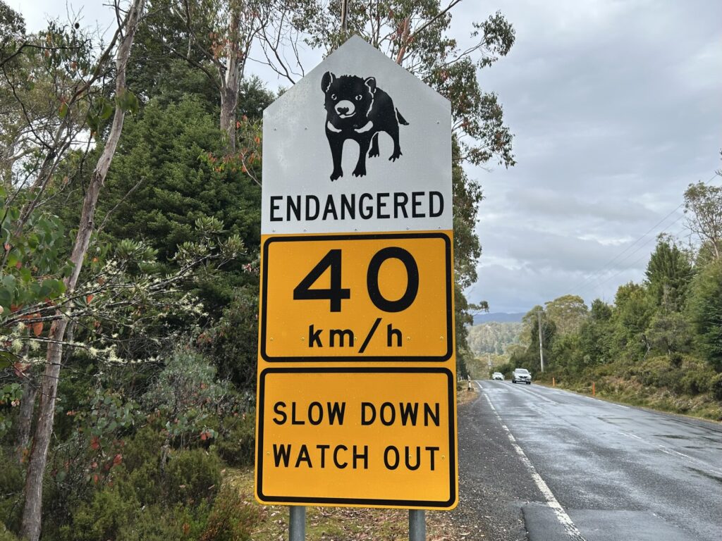 タスマニア島1泊2日レンタカーの旅：タスマニアデビルの道路標識