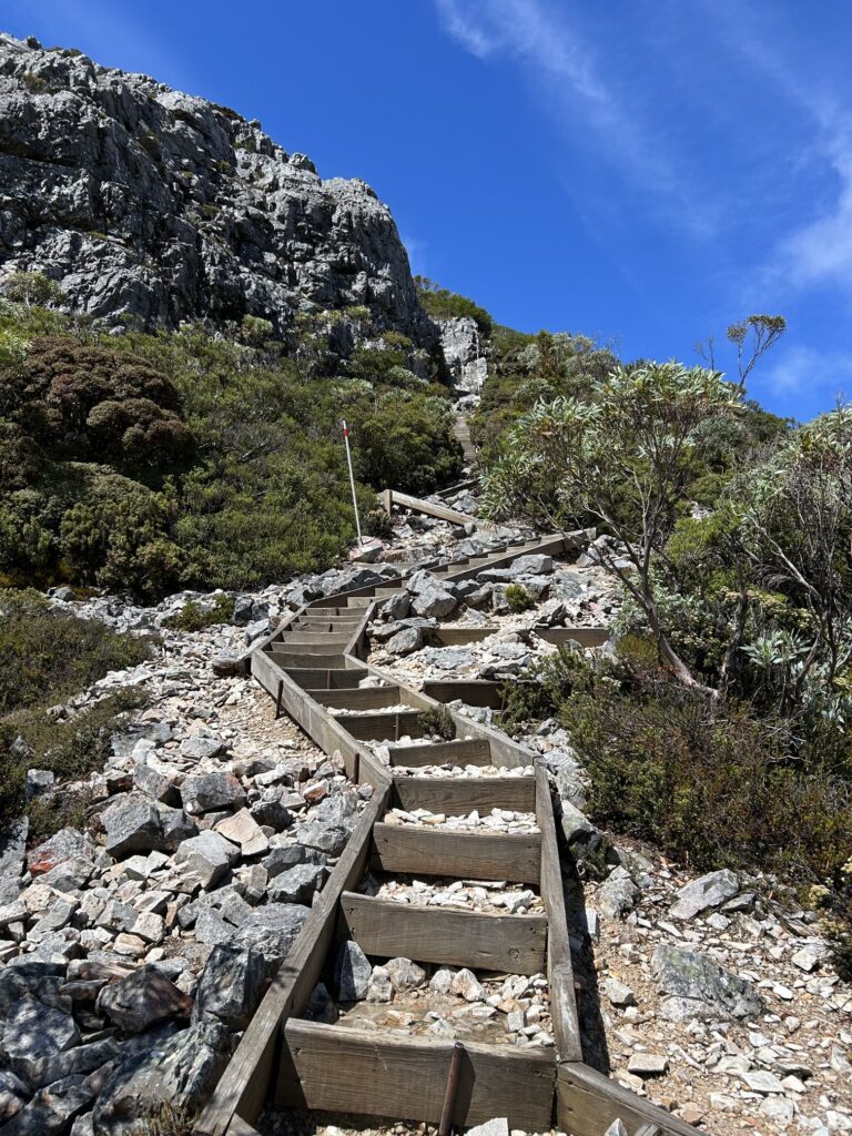 タスマニア島1泊2日レンタカーの旅：「クレイドル・マウンテン国立公園」でハイキング～「Marions Lookout」への道