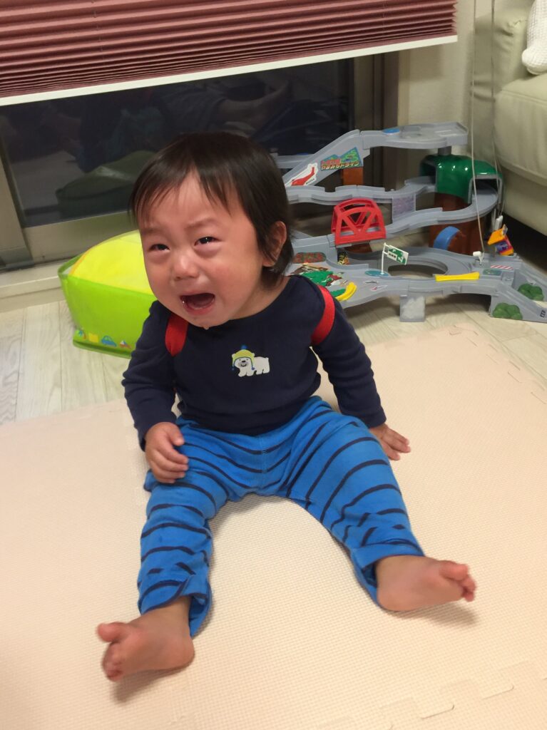 一升餅・選び取り