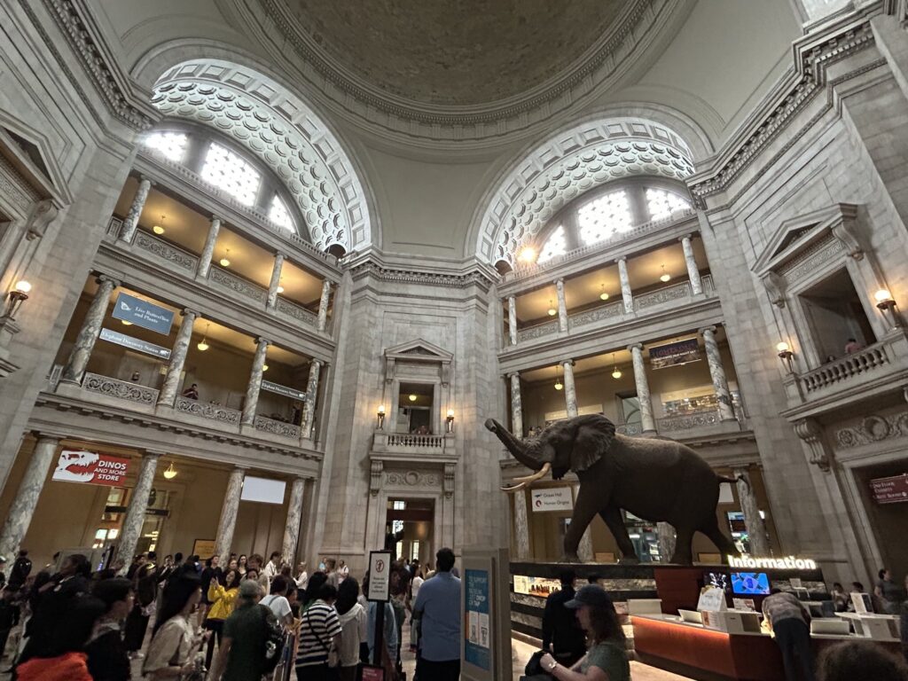 ワシントンDC 1日観光モデルコース:国立自然史博物館「紺碧のハート」