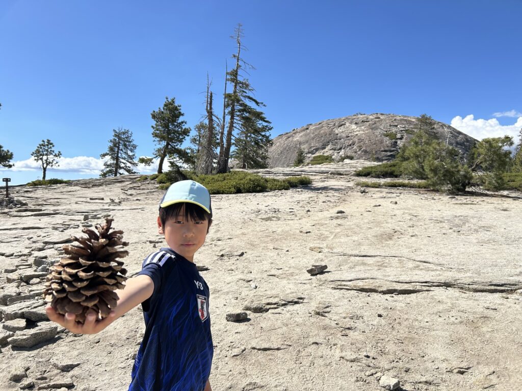 ヨセミテ国立公園観光：開放感満点のお手軽トレイル「センチネルドーム・トレイル」