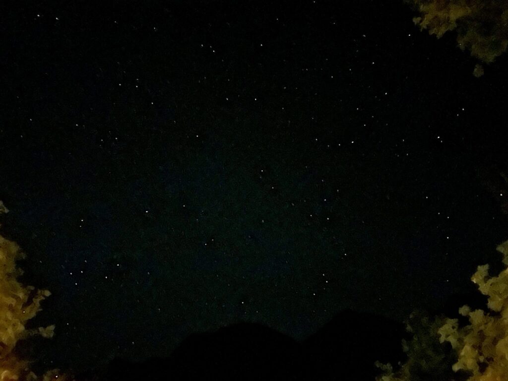 ヨセミテ国立公園観光：ヨセミテ国立公園内でテント泊！「Curry Village」