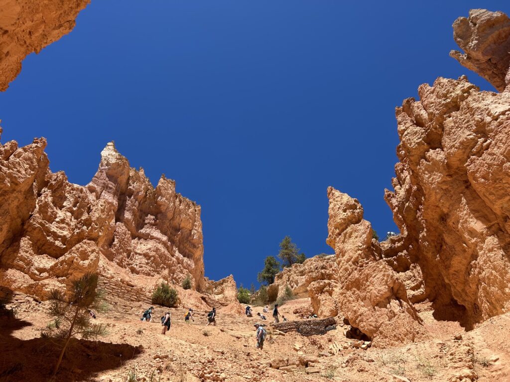 ブライスキャニオン国立公園:谷底から急斜面を登りきる!「ナバホループトレイル」