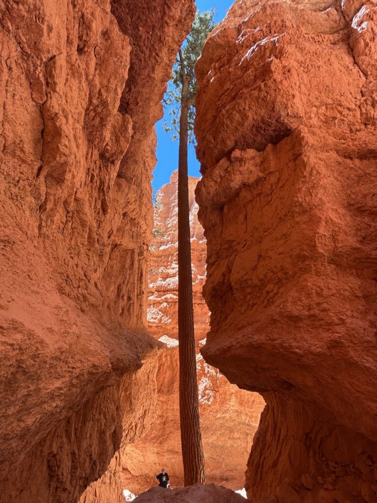 ブライスキャニオン国立公園:谷底から急斜面を登りきる!「ナバホループトレイル」