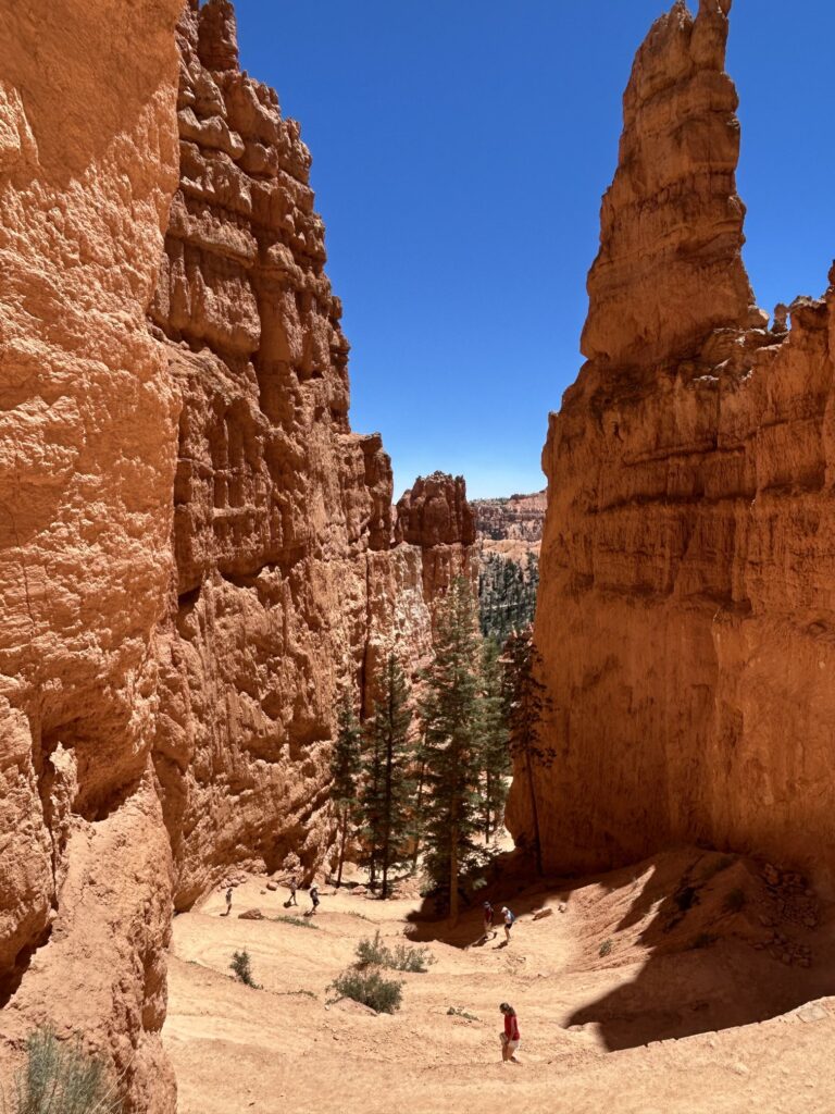 ブライスキャニオン国立公園:谷底から急斜面を登りきる!「ナバホループトレイル」