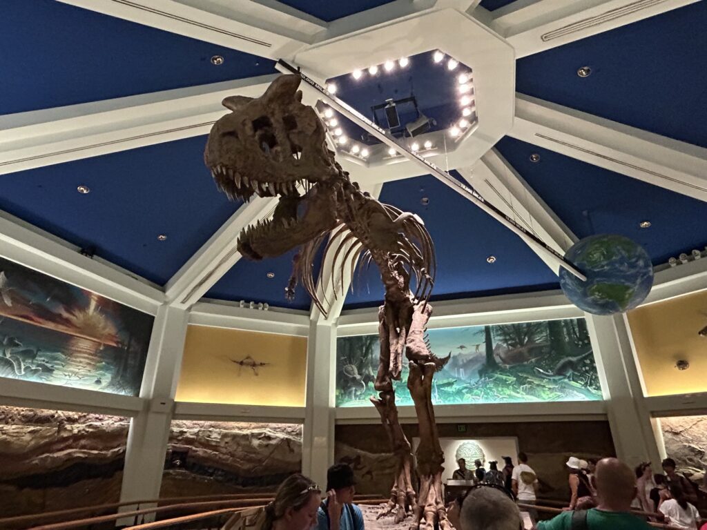 アニマル・キングダムの人気のアトラクション:DINOSAUR
