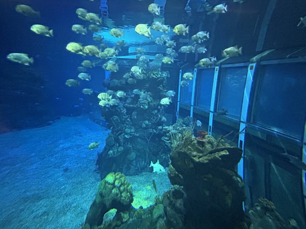 旅行記の写真2