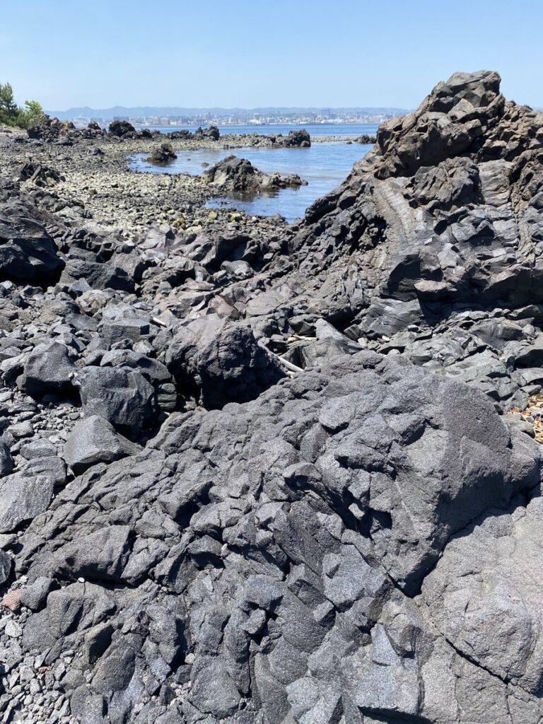 桜島の大正大噴火でできた溶岩