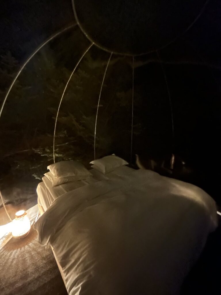 Buubble Hotelのドーム型テント内