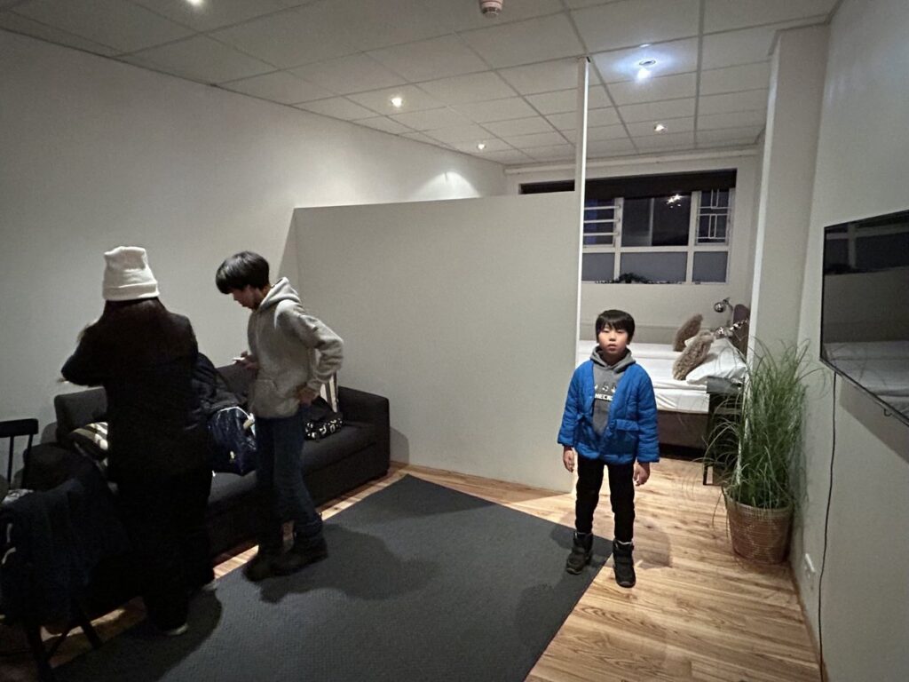 Day Dream Vesturgata 17 Reykjavikの客室