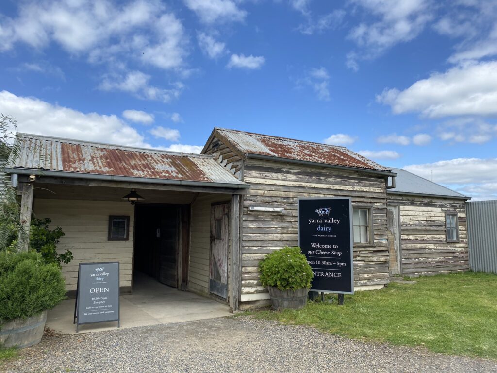 Yarra Valley Dairyでチーズテイスティング