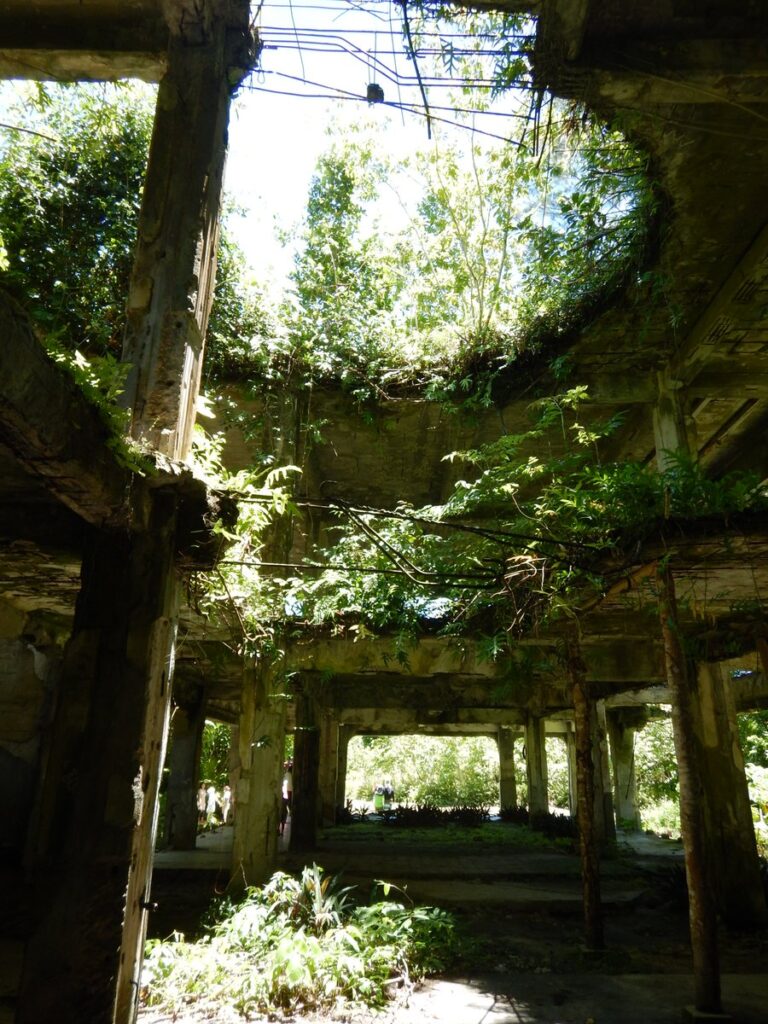 旅行記の写真2