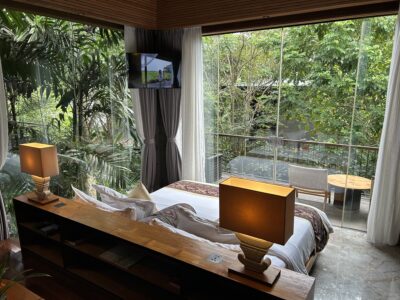 Gdas Bali Health and Wellness Resort滞在