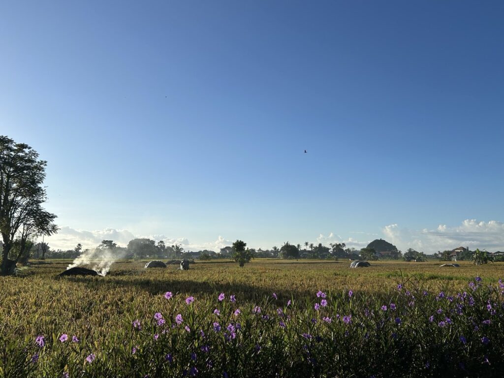 Gdas Baliから眺めるウブドの田園風景