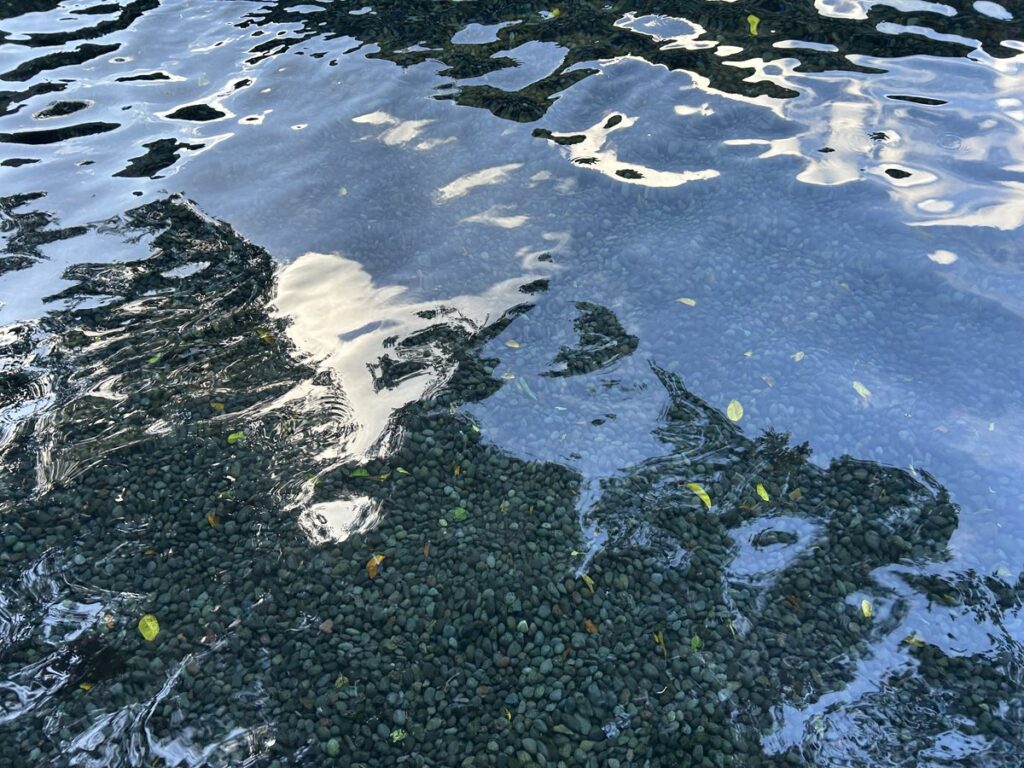 ティルタ・エンプル寺院の沐浴場を流れる澄んだ水